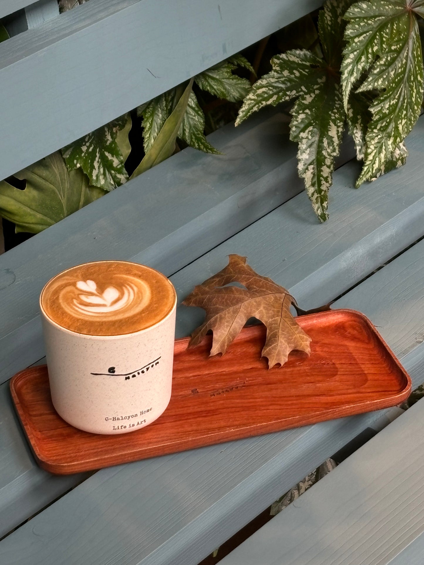 Decorative cups